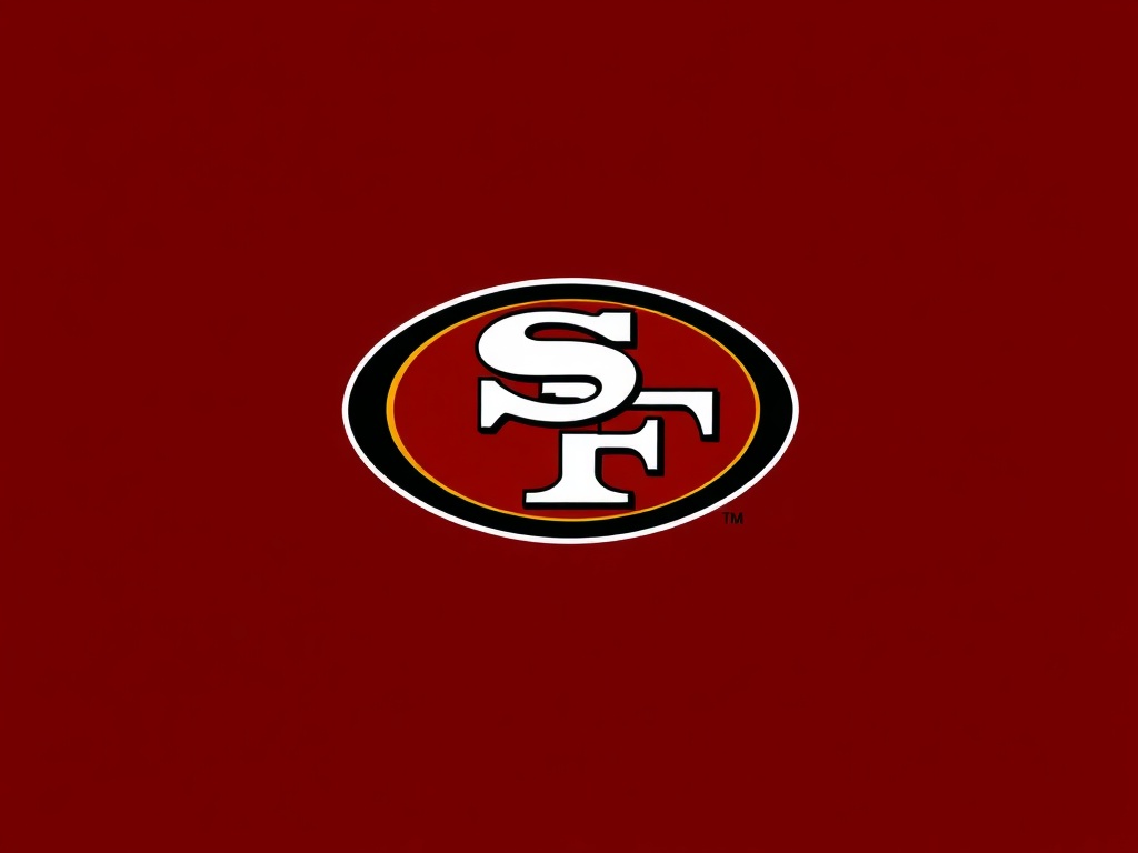 49ers image